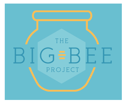 The Big Bee Project