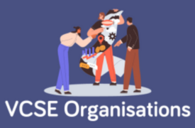 VCSE organisations