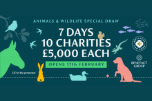 7 days 10 charities £5,000 each Animals and wildlife draw