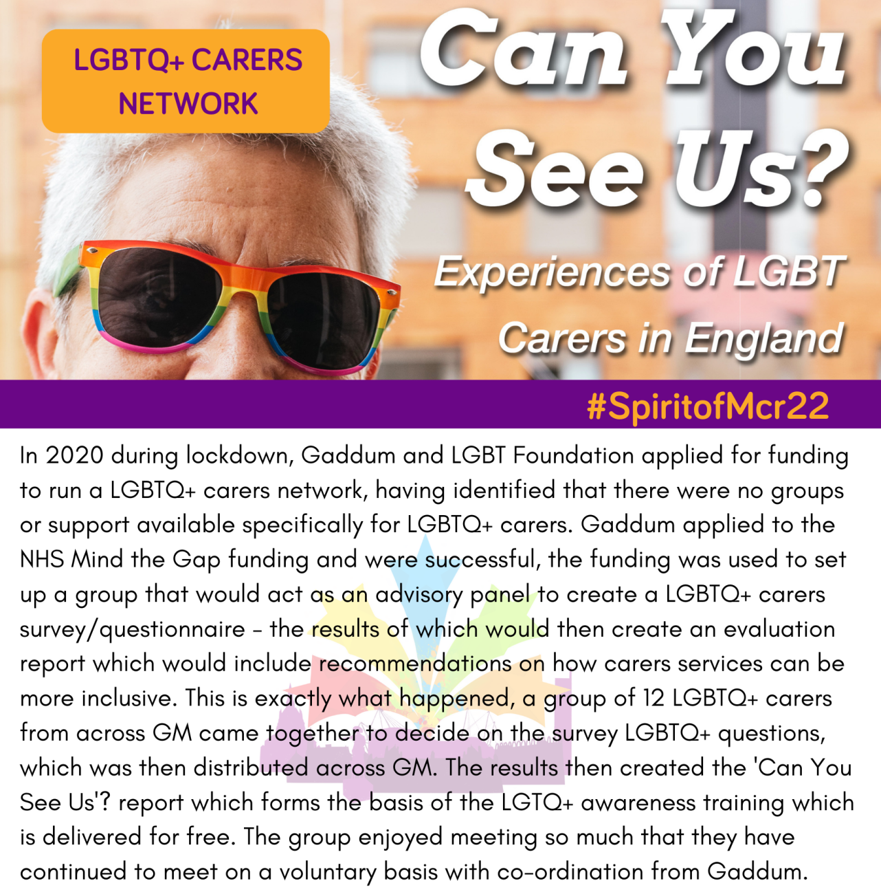 LGBTQ+ carers