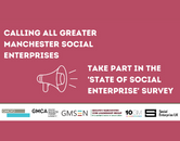 gmcvo social enterprise survey